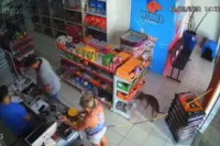 Cachorro é flagrado "furtando" petisco em pet shop de Nova Esperança