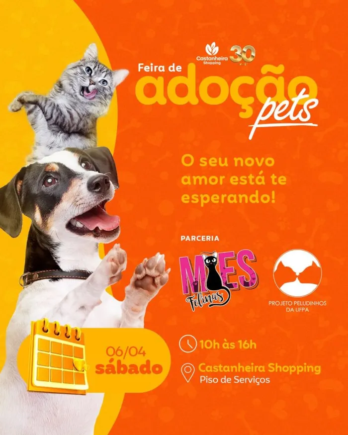 Feira de Adoção de Pets: Encontre seu Novo Companheiro em Belém!