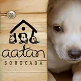AATAN - Associação Abrigo Temporário de Animais Necessitados Tia Dirma