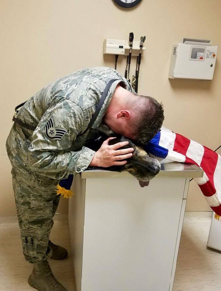 Soldado permanece ao lado de seu cão até o “fim da linha” em um momento emocionante. | Foto 6