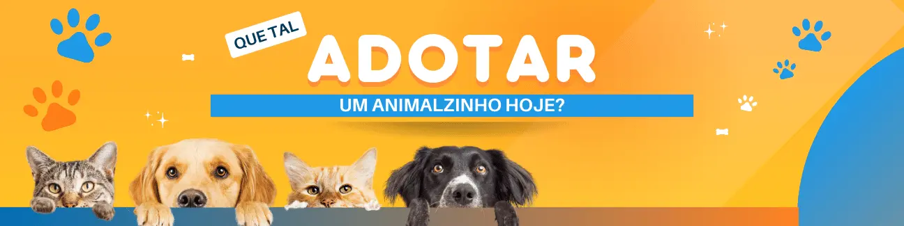 Que tal adotar um cachorro ou gato ainda hoje?