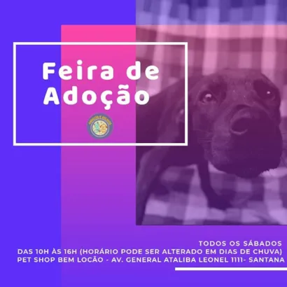 Feira de Adoção de Animais: Encontre seu Novo Melhor Amigo!