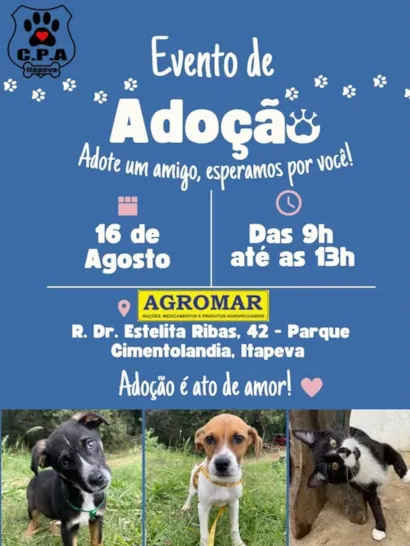 Evento "Adote um Amigo" em Itapeva