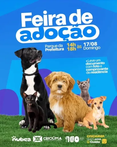 Adote um Amigo: Feira de Adoção em Criciúma