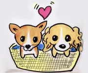 Logo Ajude os animais de Dourados?