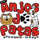 Logo Anjos de Patas - Adote um amigo em Sobral/CE?